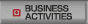 Business Activities